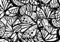 Pre-cut Butterfly Wings Template