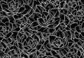 Pre-Cut Succulents Template
