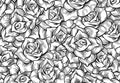 Pre-cut Roses Template