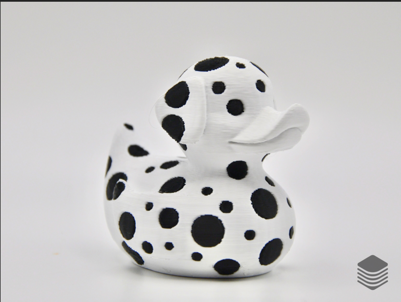 Dalmatian Duck