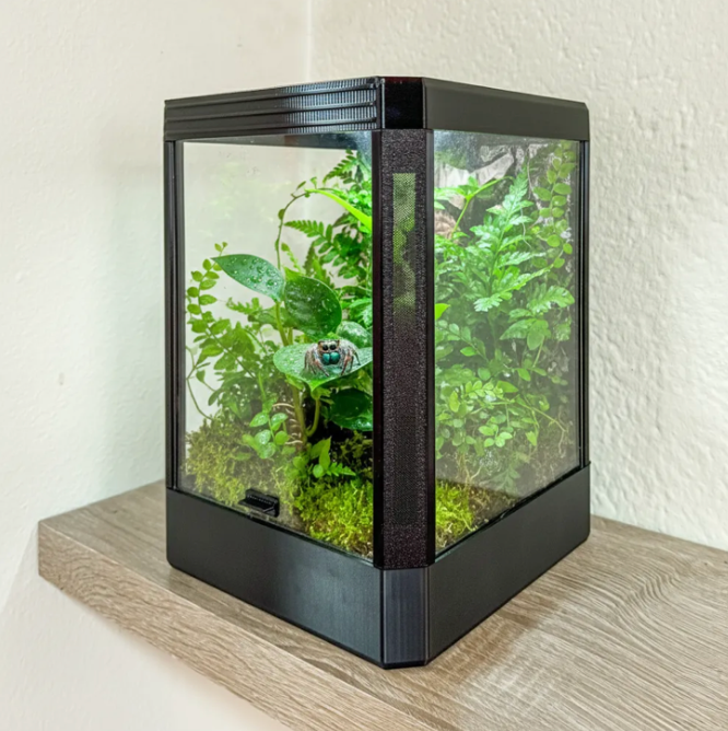 Jumping Spider Enclosure With Lighting